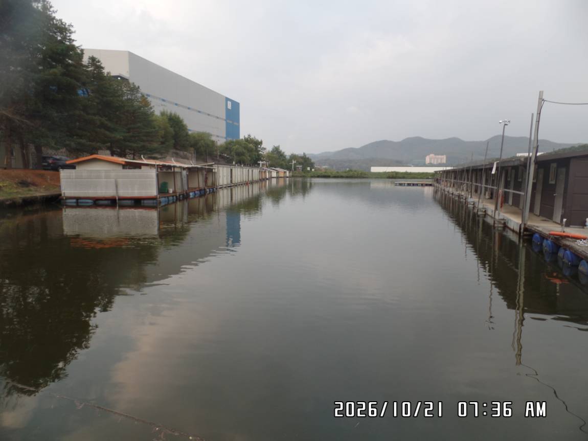 SAM_0925.JPG