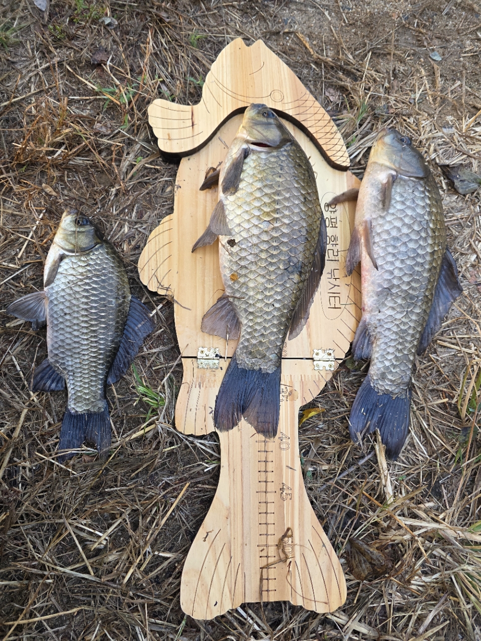 �⸮������_����_20261015_29.jpg