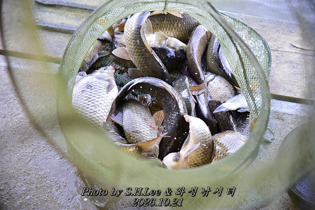 LEE_7229.JPG