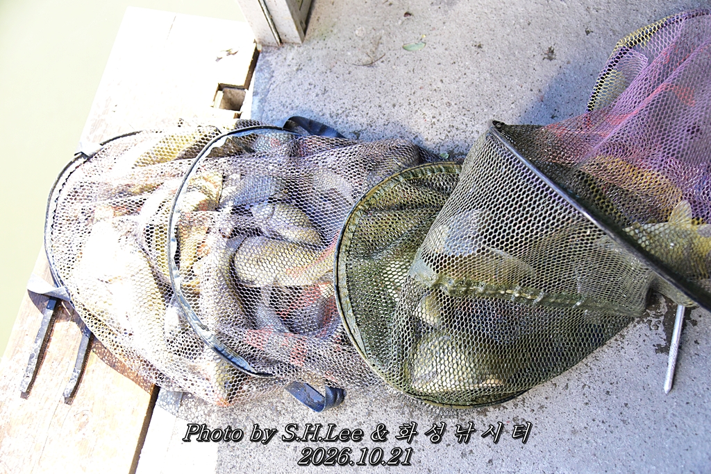 LEE_7242.JPG