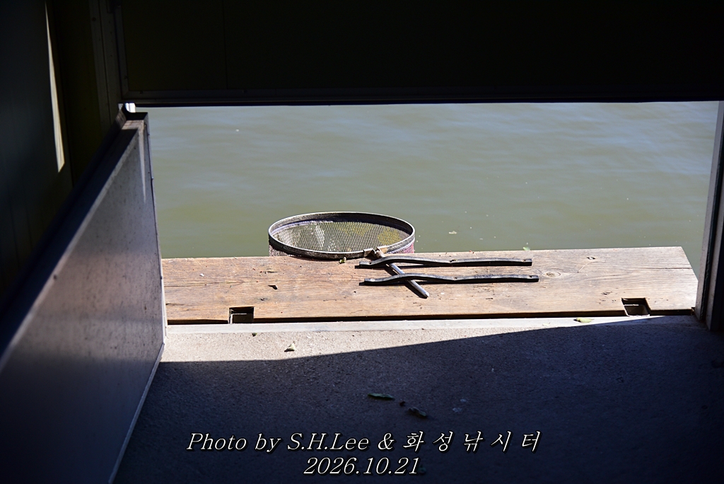 LEE_7240.JPG