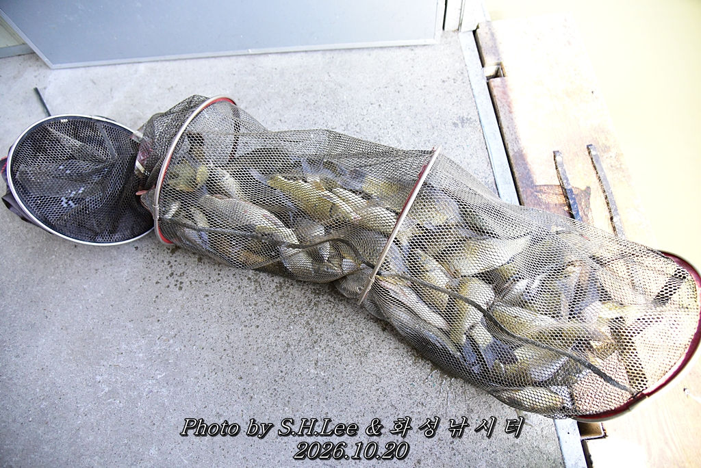 LEE_7202.JPG