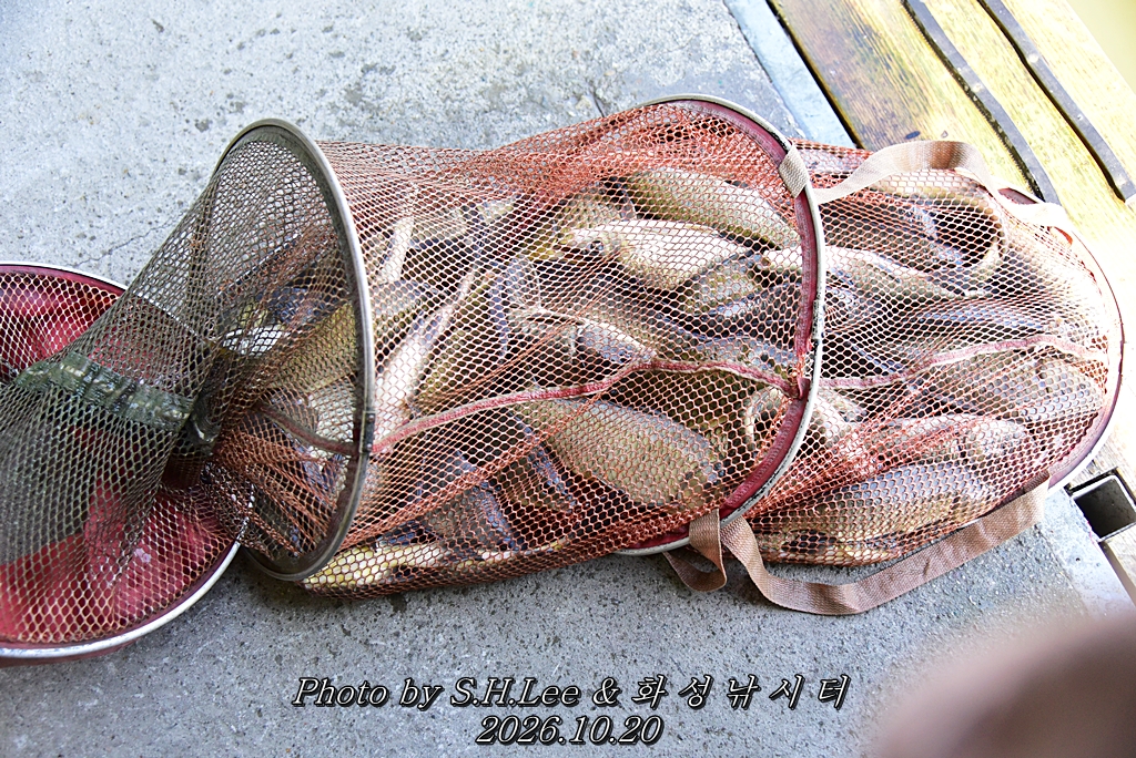 LEE_7206.JPG