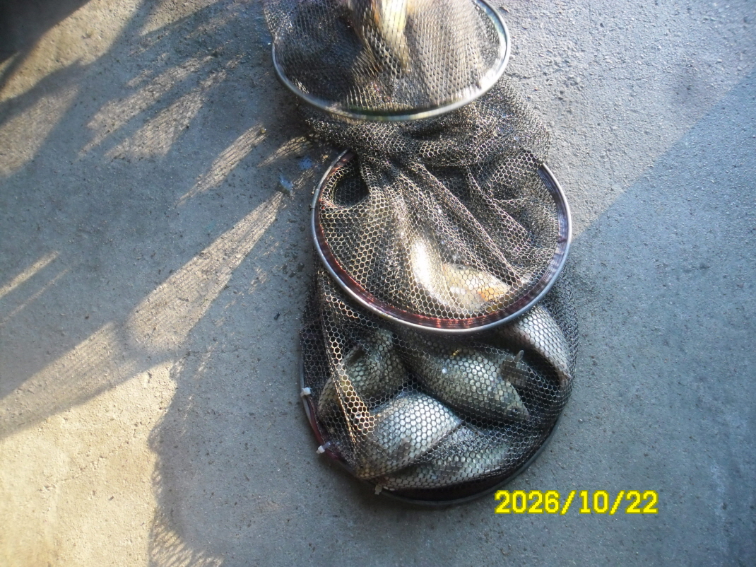 SAM_3708.JPG