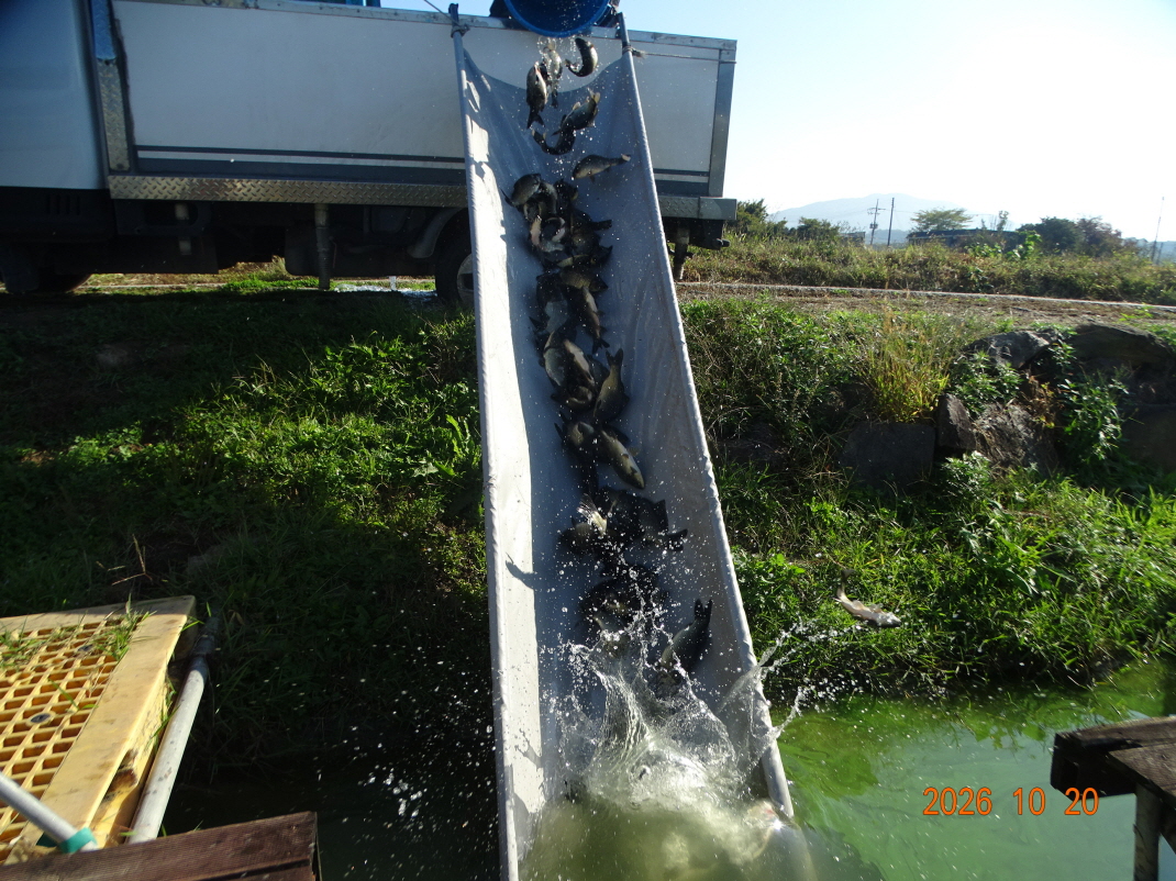 DSC00069.JPG