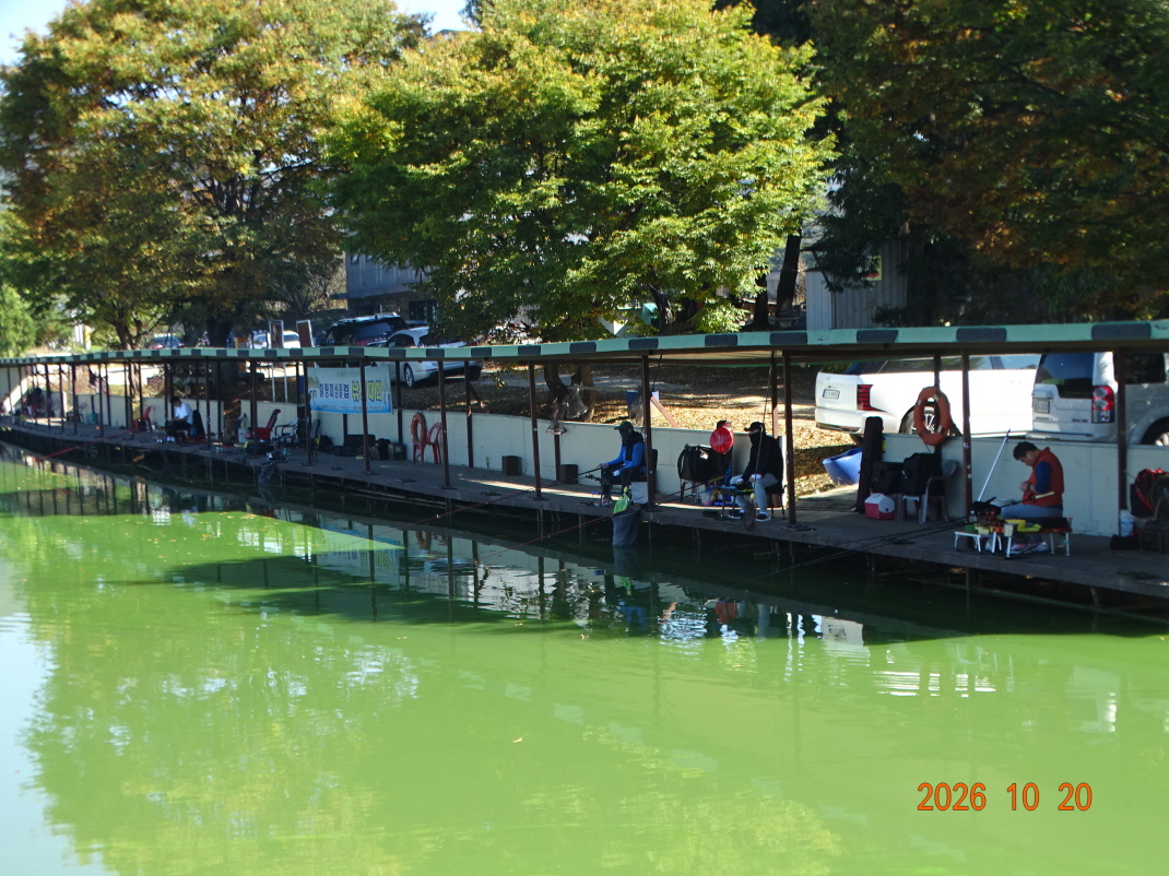 DSC00083.JPG