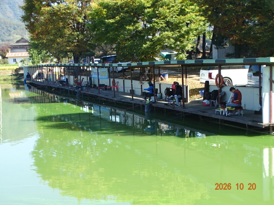 DSC00084.JPG