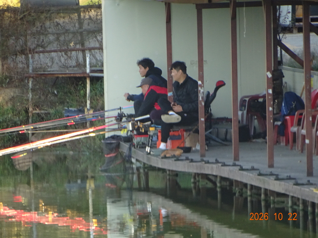 DSC00108.JPG