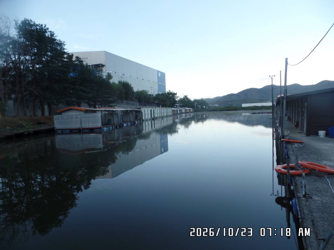 SAM_0952.JPG