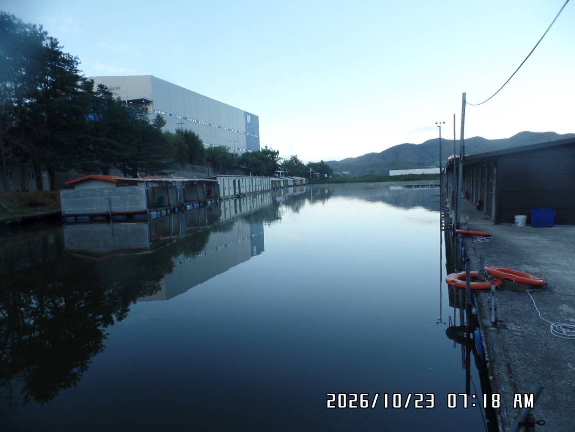 SAM_0953.JPG