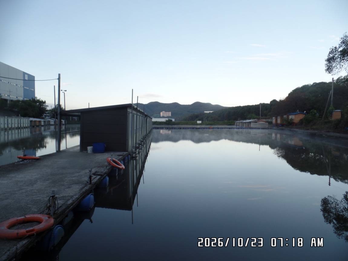 SAM_0954.JPG