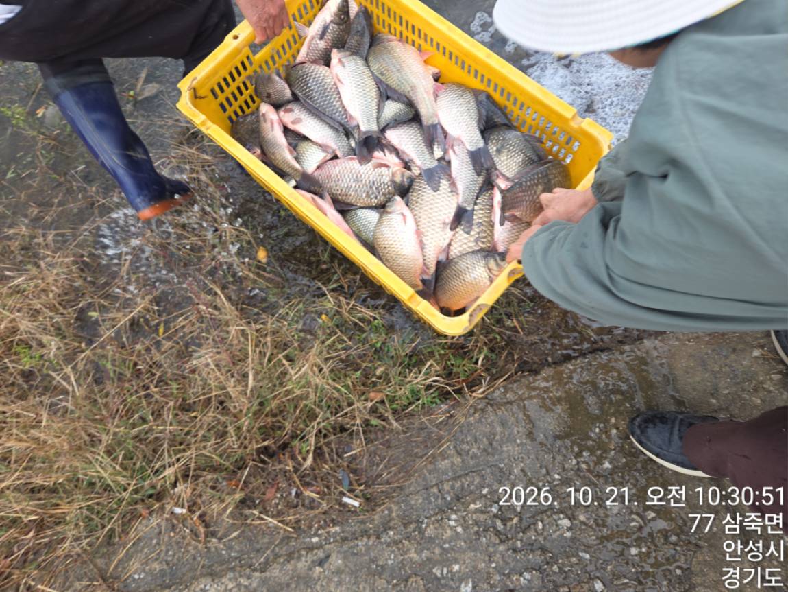 KakaoTalk_20261023_150442685_06.jpg