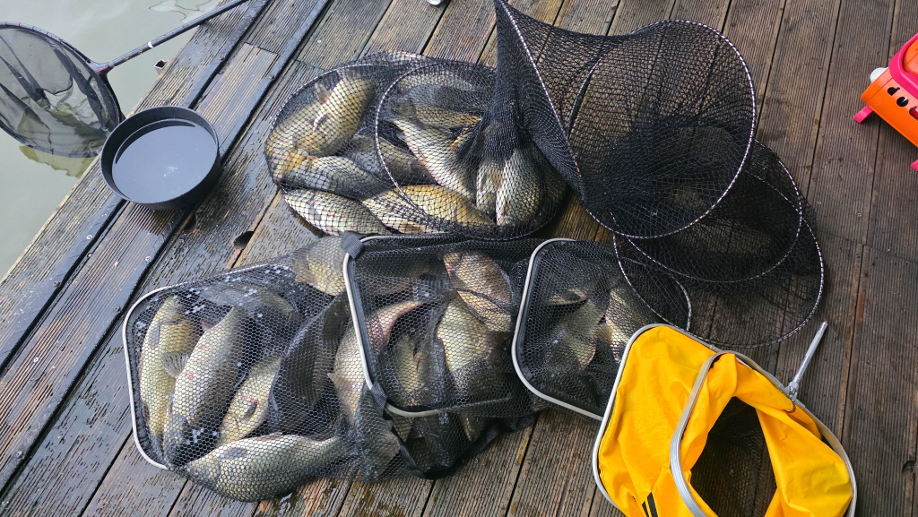 abKakaoTalk_20261024_102139918_16.jpg