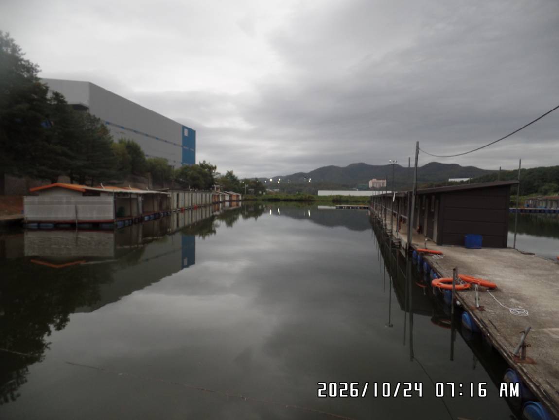 SAM_0965.JPG