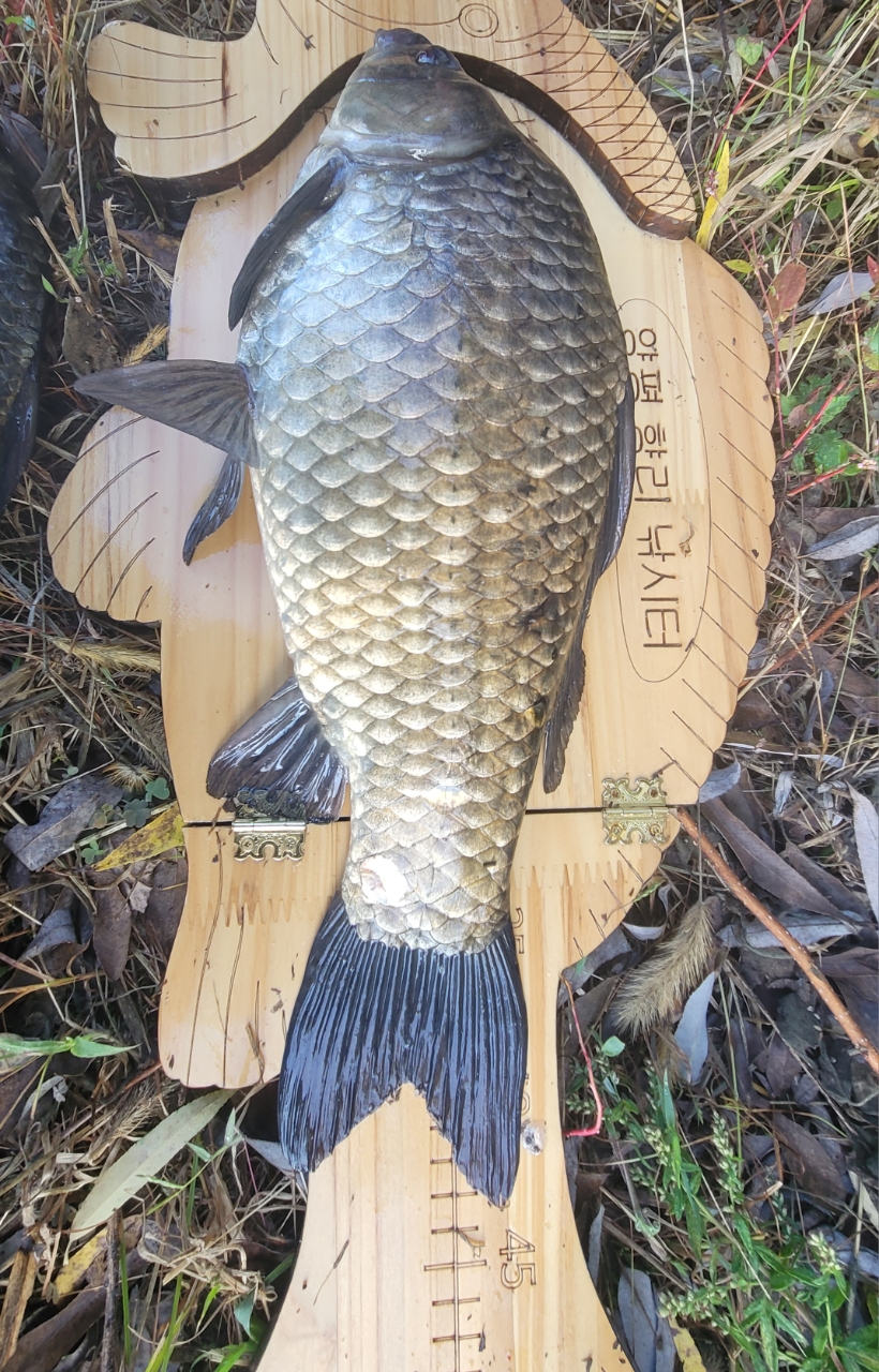 �⸮������_����_20261020_5.jpg