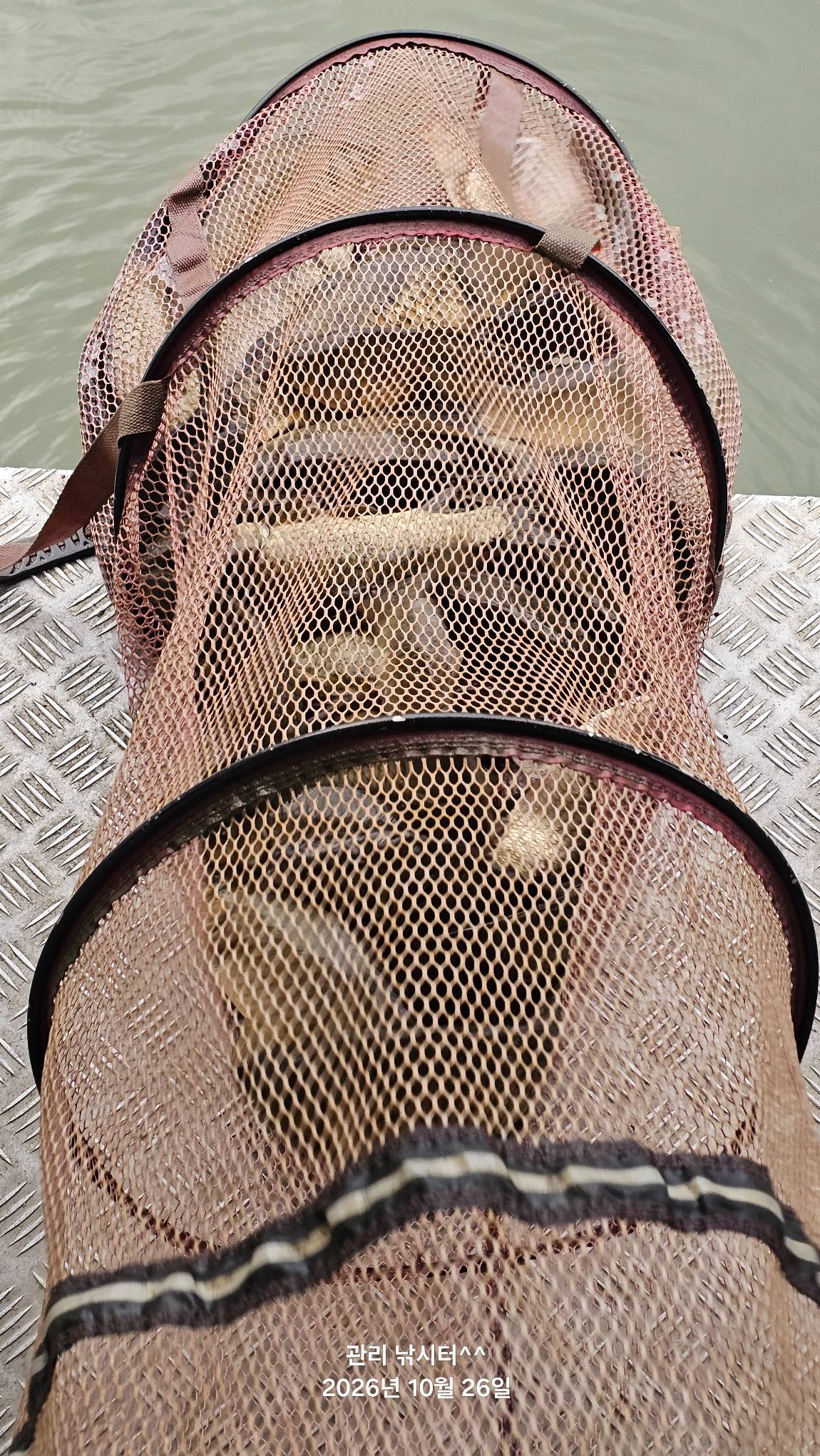 1793004374375.jpg