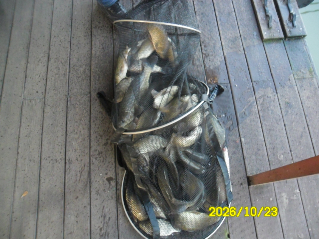 SAM_3719.JPG