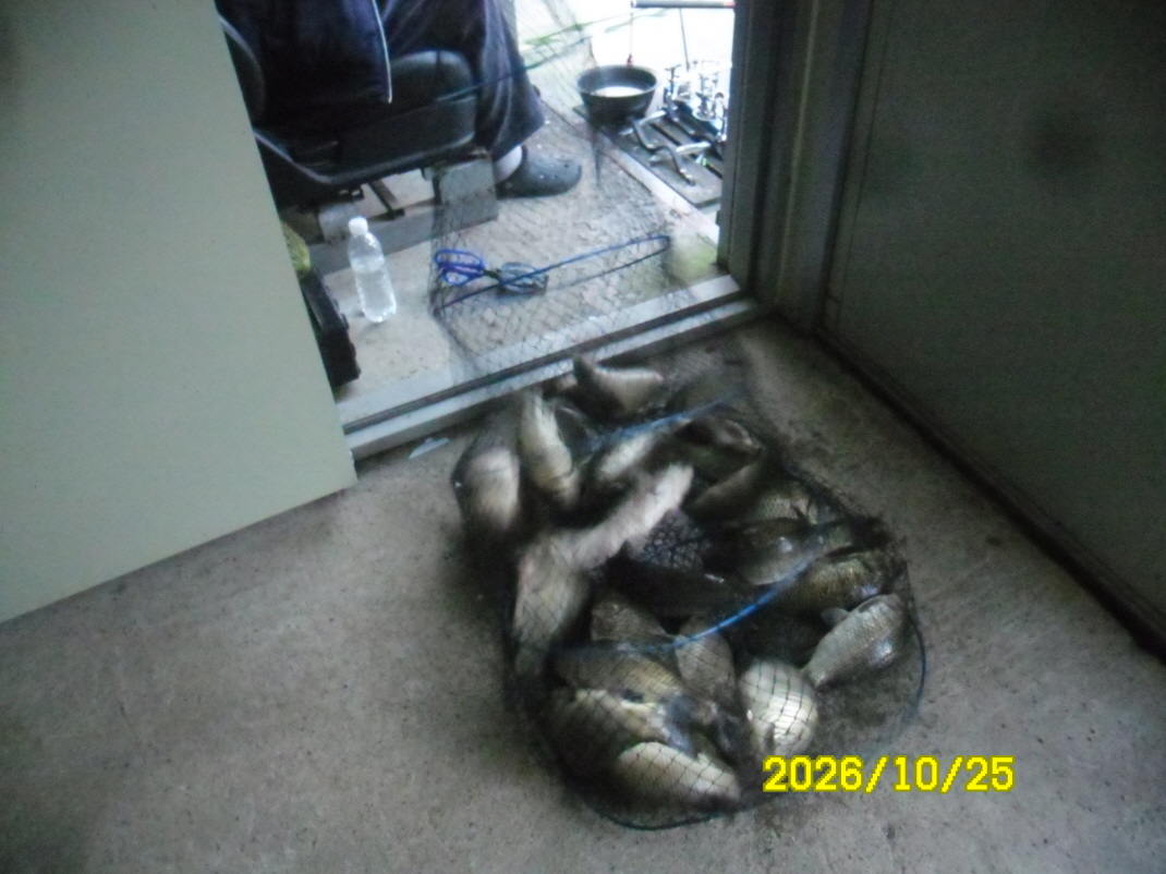 SAM_3751.JPG