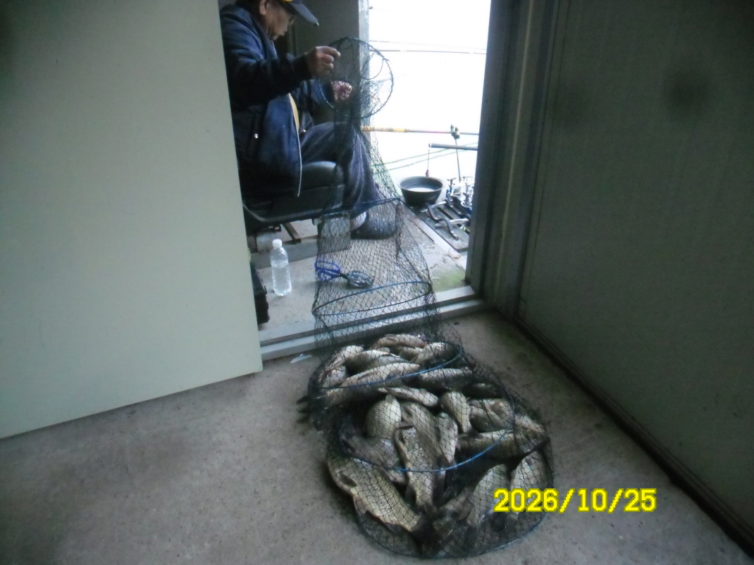SAM_3755.JPG