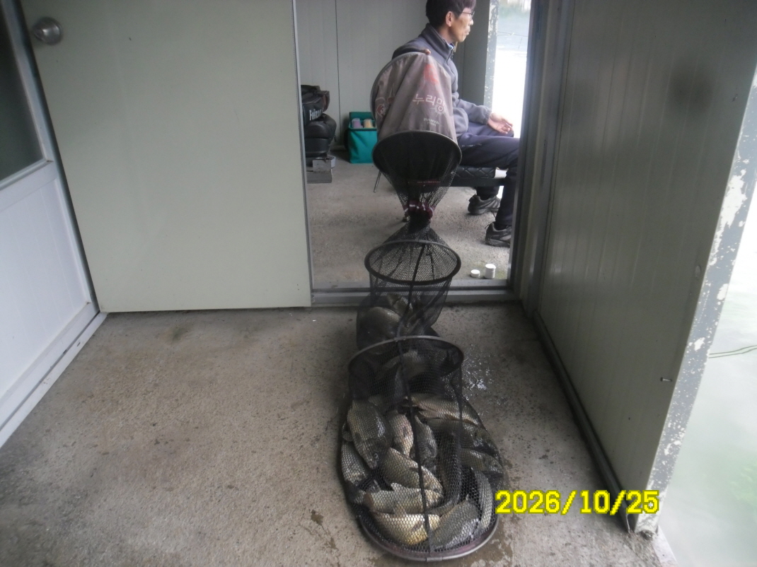 SAM_3815.JPG