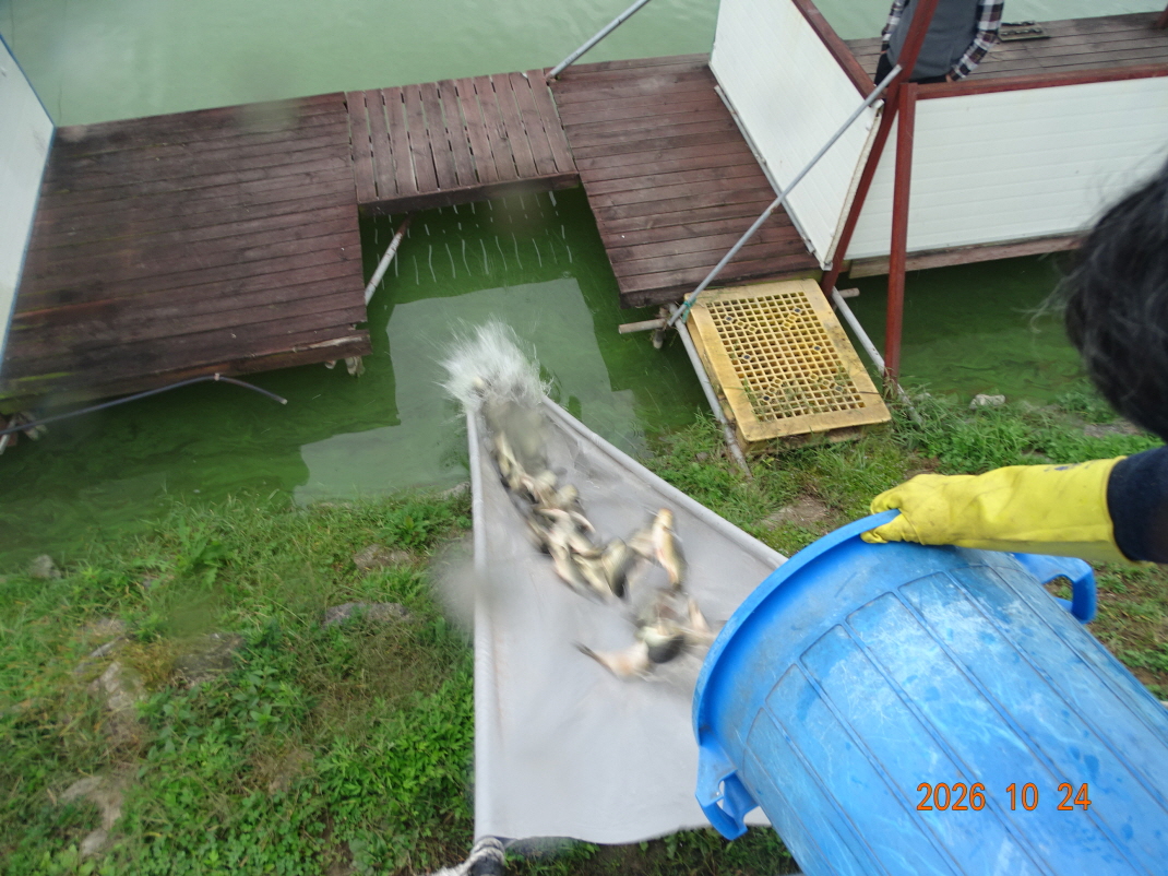 DSC00144.JPG