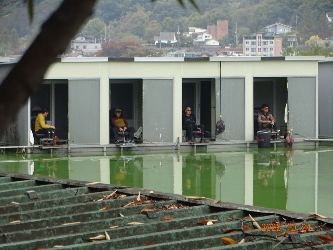 DSC00178.JPG
