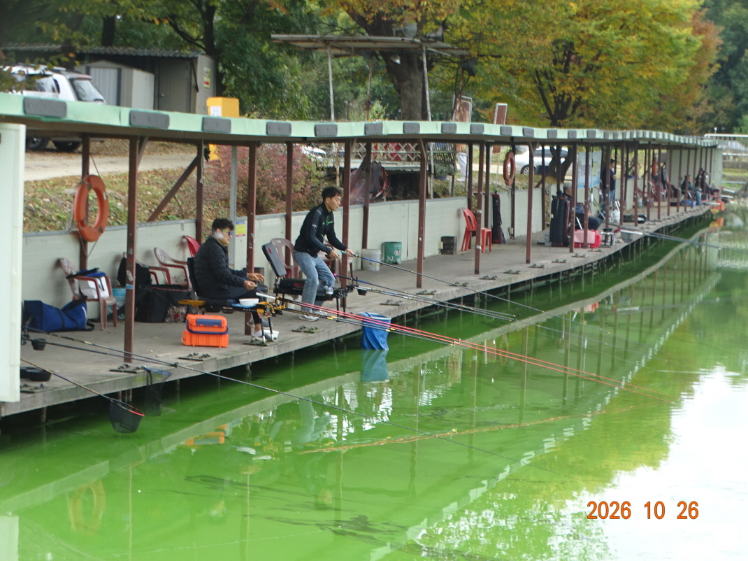 DSC00252.JPG