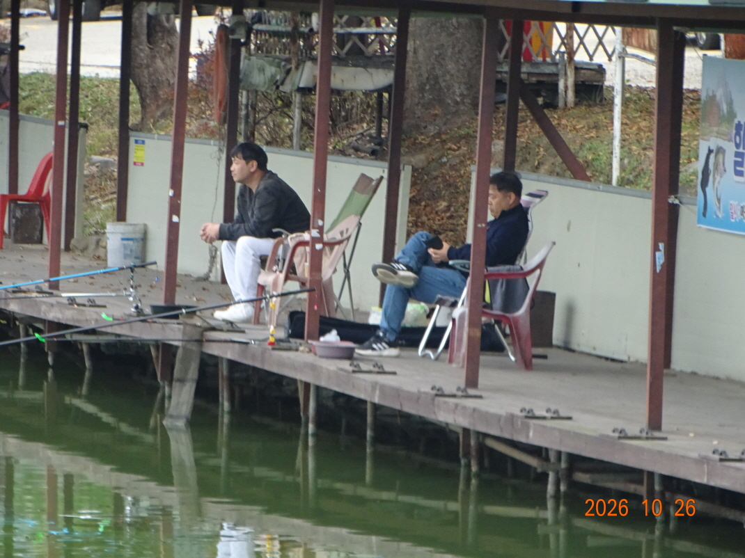 DSC00260.JPG