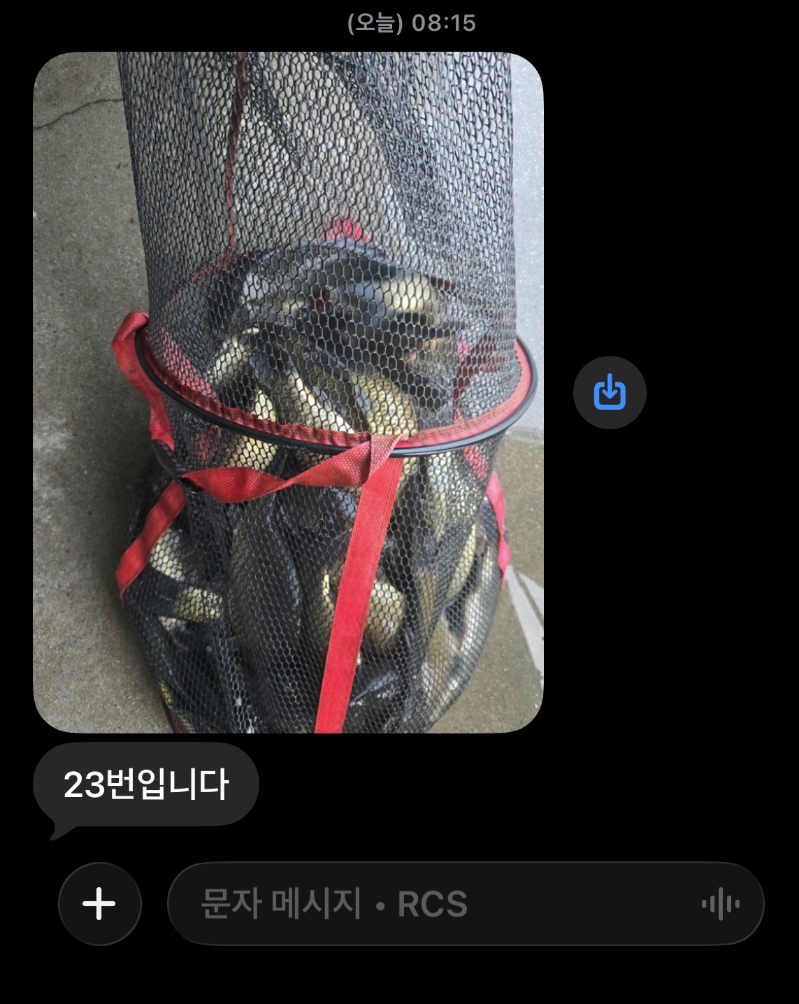 KakaoTalk_20261027_081054050_01.jpg