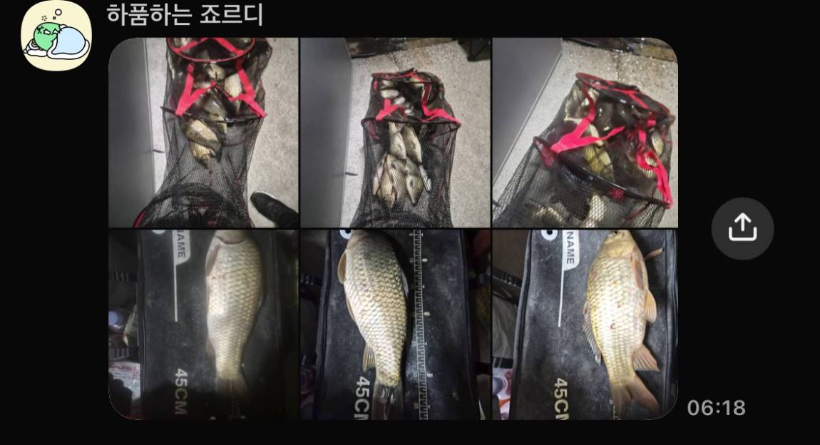 KakaoTalk_20261027_081054050_06.jpg