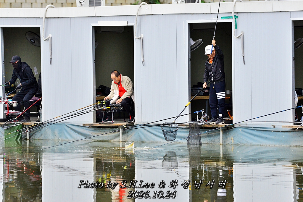 LSH_0561.JPG