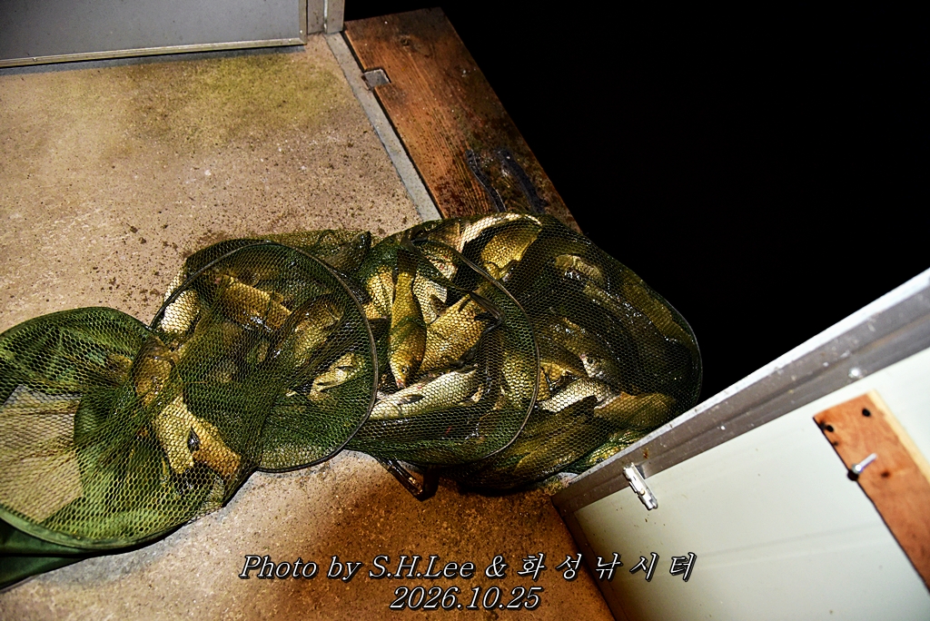 LEE_7303.JPG