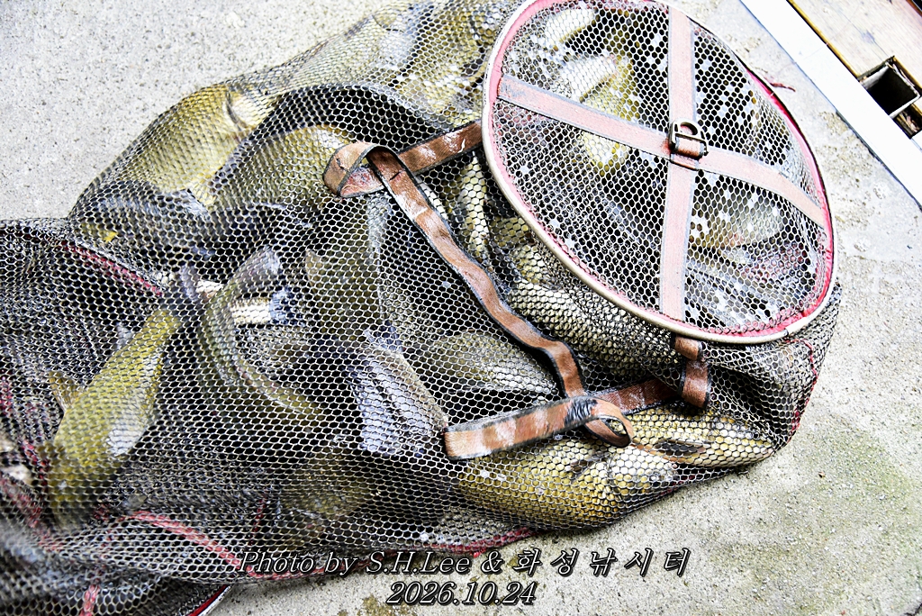 LEE_7251.JPG