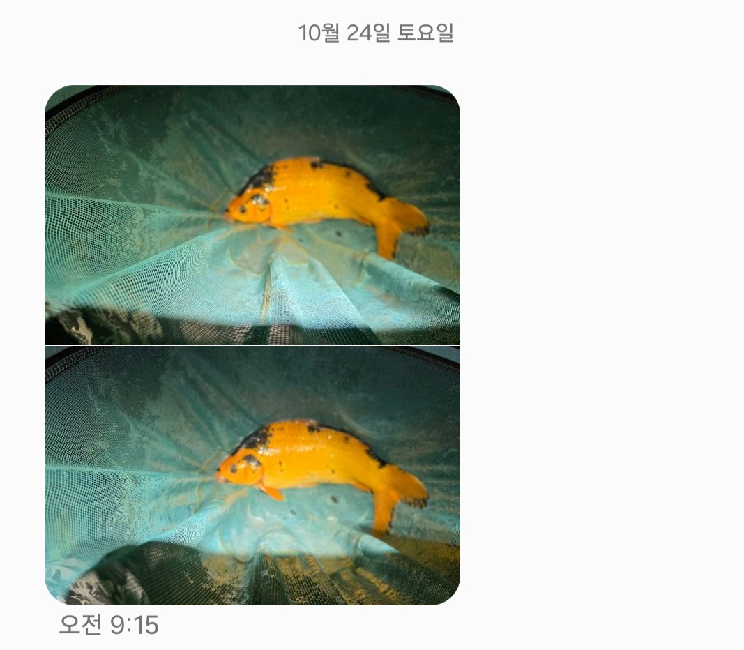 KakaoTalk_20261027_125505992.jpg
