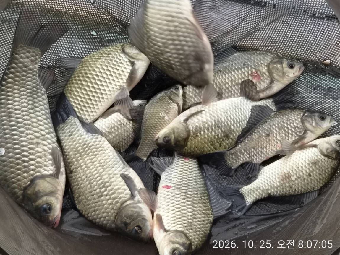 KakaoTalk_20261027_154718870_01.jpg