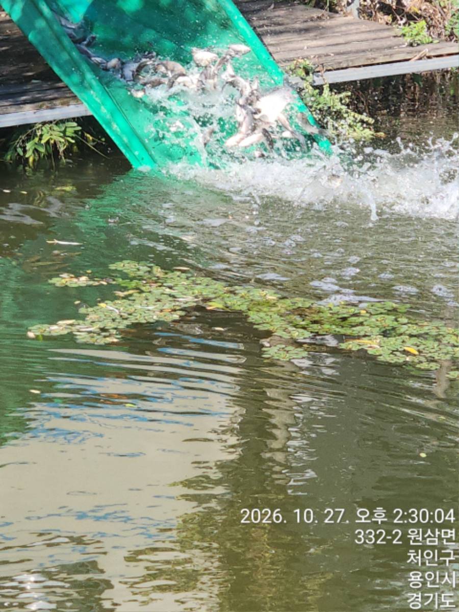 KakaoTalk_20261028_111732876_01.jpg