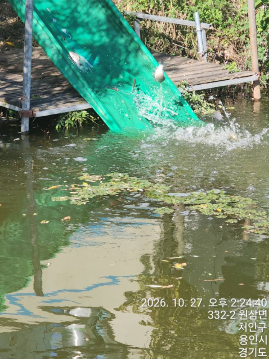 KakaoTalk_20261028_111732876_10.jpg