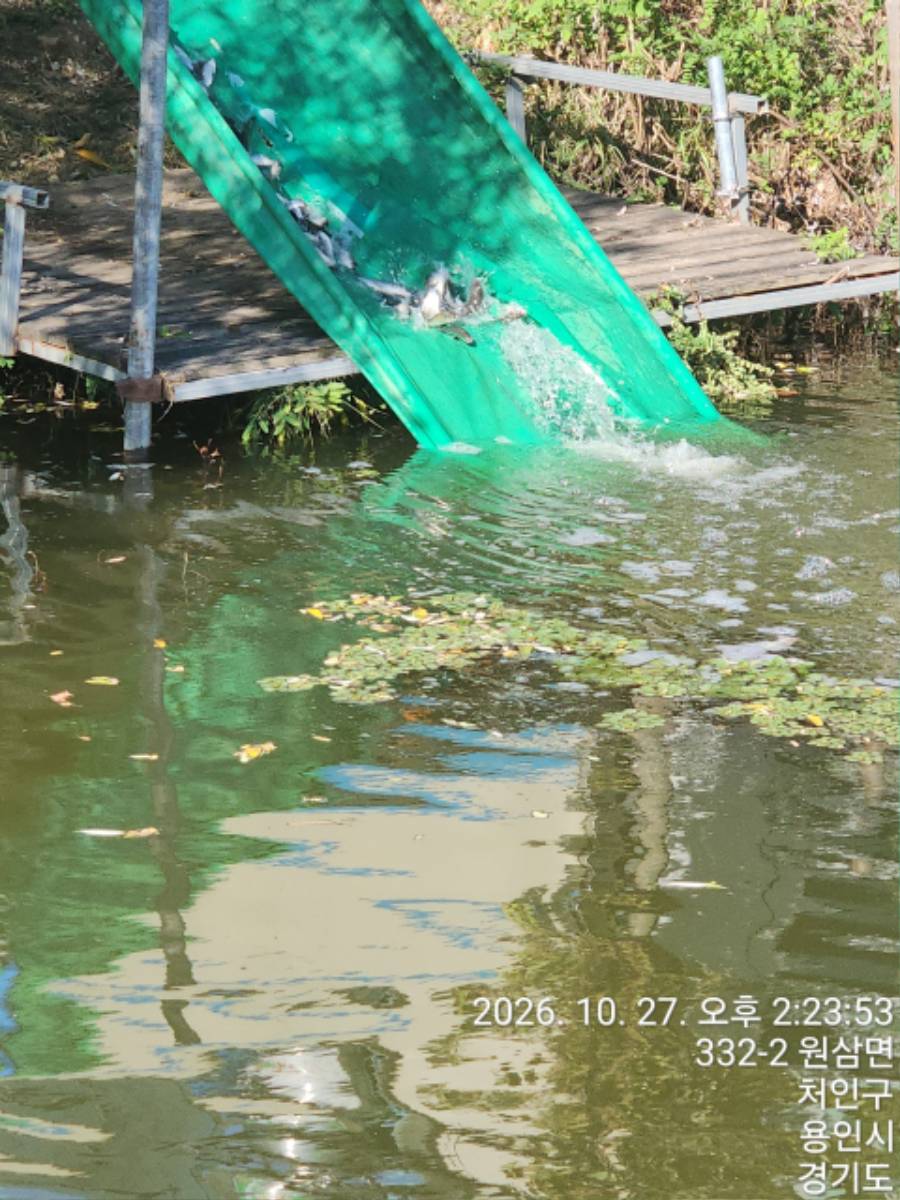 KakaoTalk_20261028_111732876_14.jpg