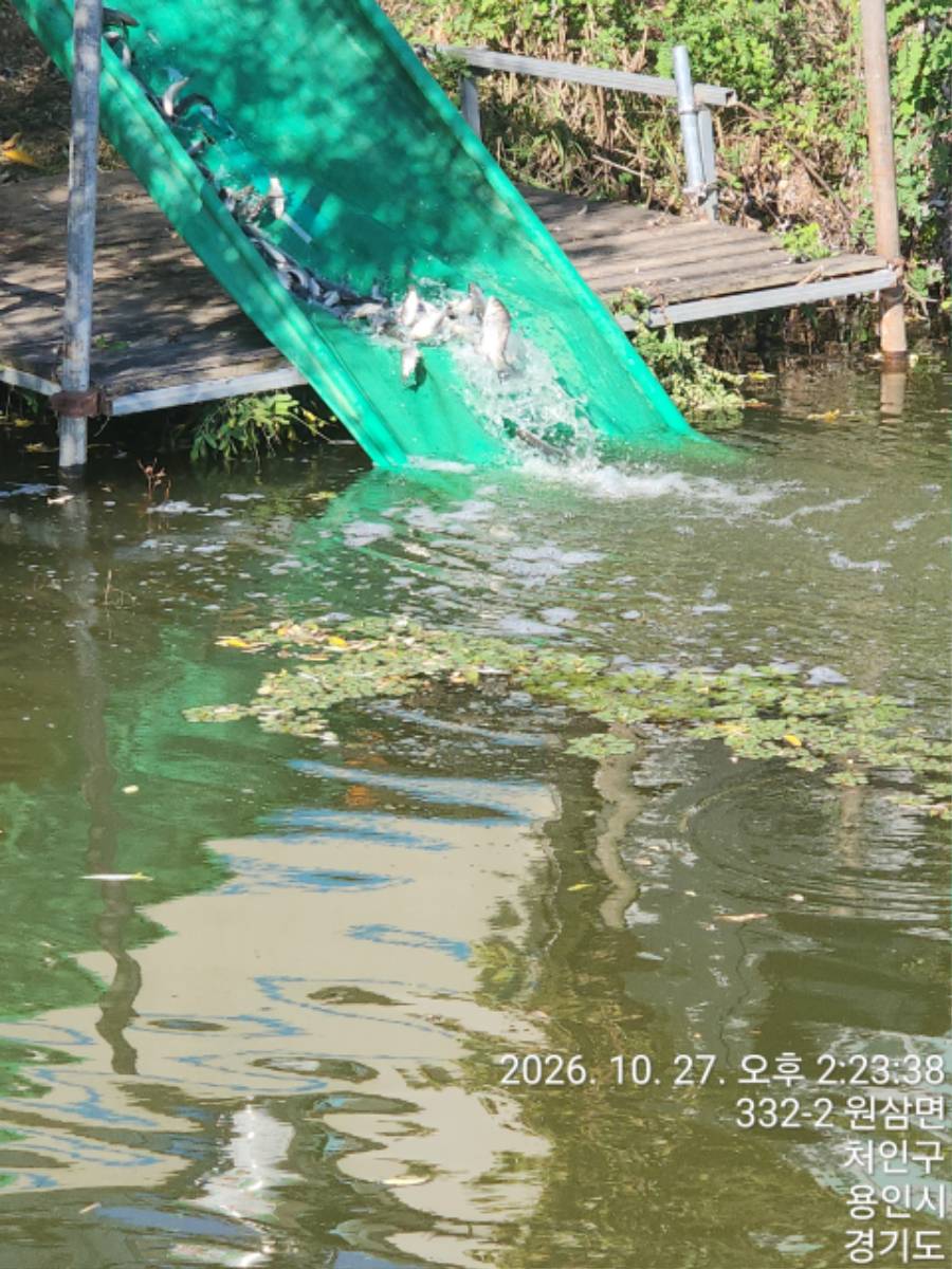 KakaoTalk_20261028_111732876_16.jpg