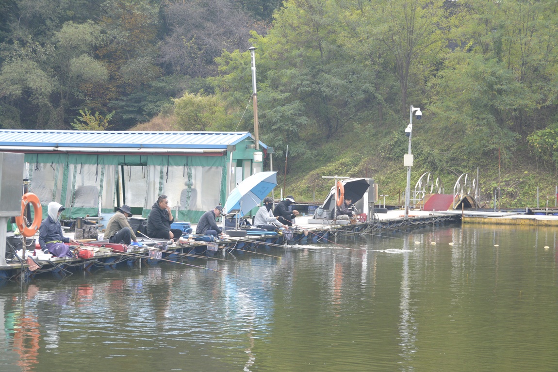 _7105042.JPG