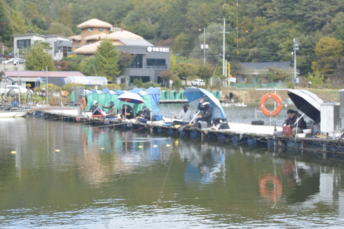 _7105050.JPG