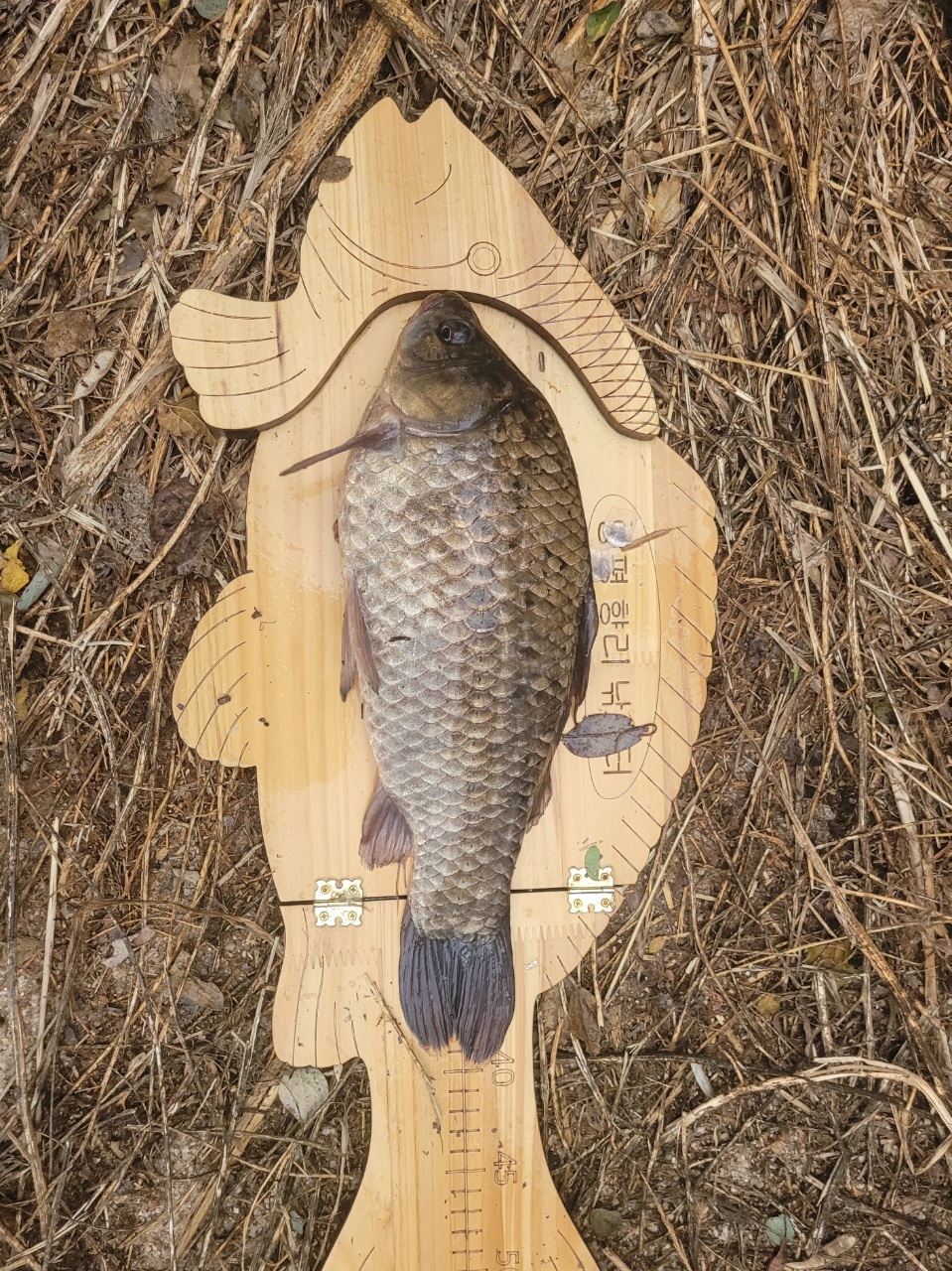 �⸮������_����_20261024_7.jpg