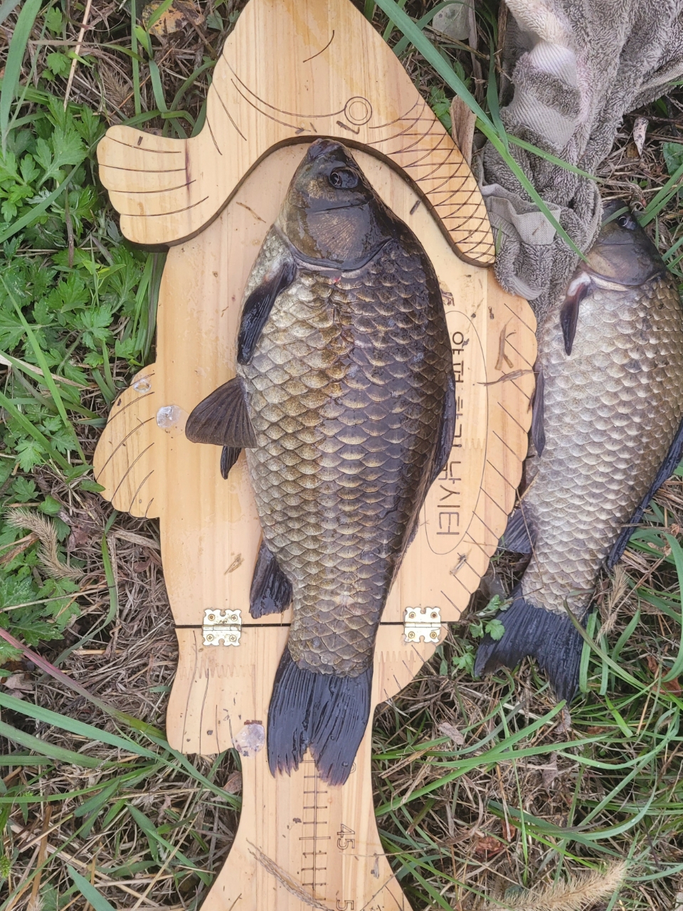 �⸮������_����_20261024_20.jpg