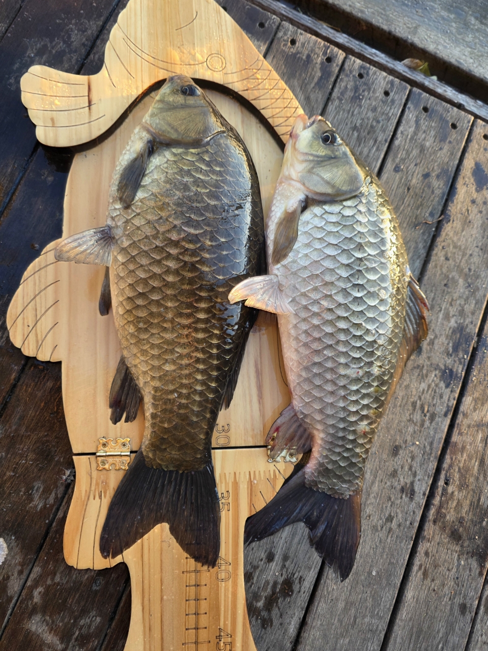 �⸮������_����_20261022_8.jpg