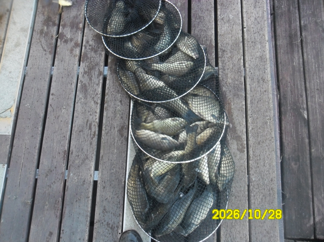 SAM_3858.JPG