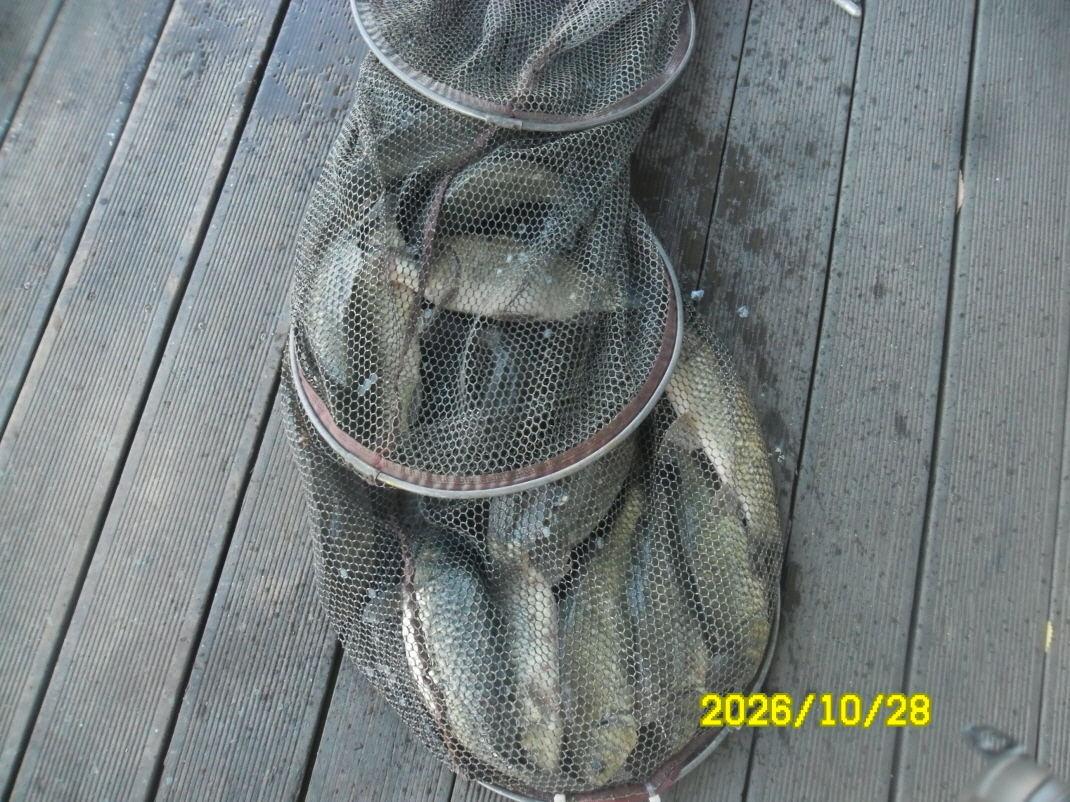 SAM_3867.JPG