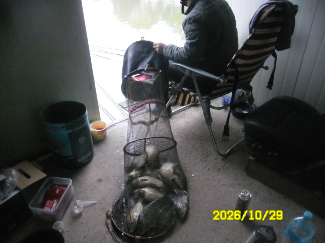 SAM_3870.JPG