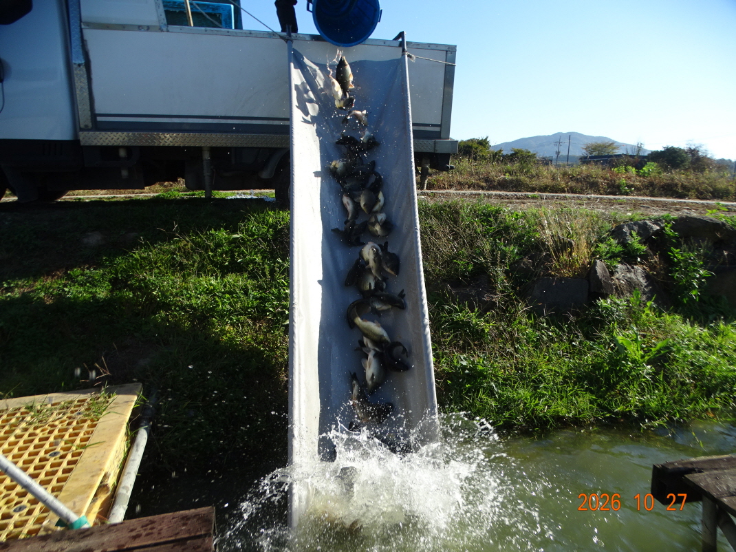 DSC00287.JPG
