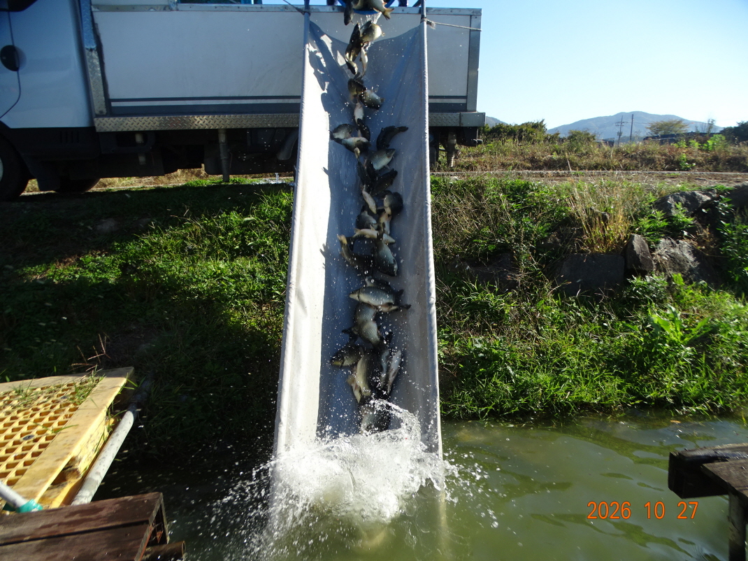 DSC00292.JPG