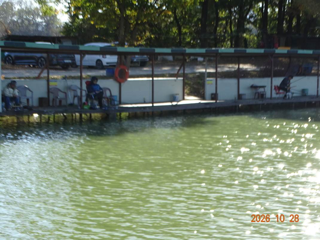 DSC00309.JPG